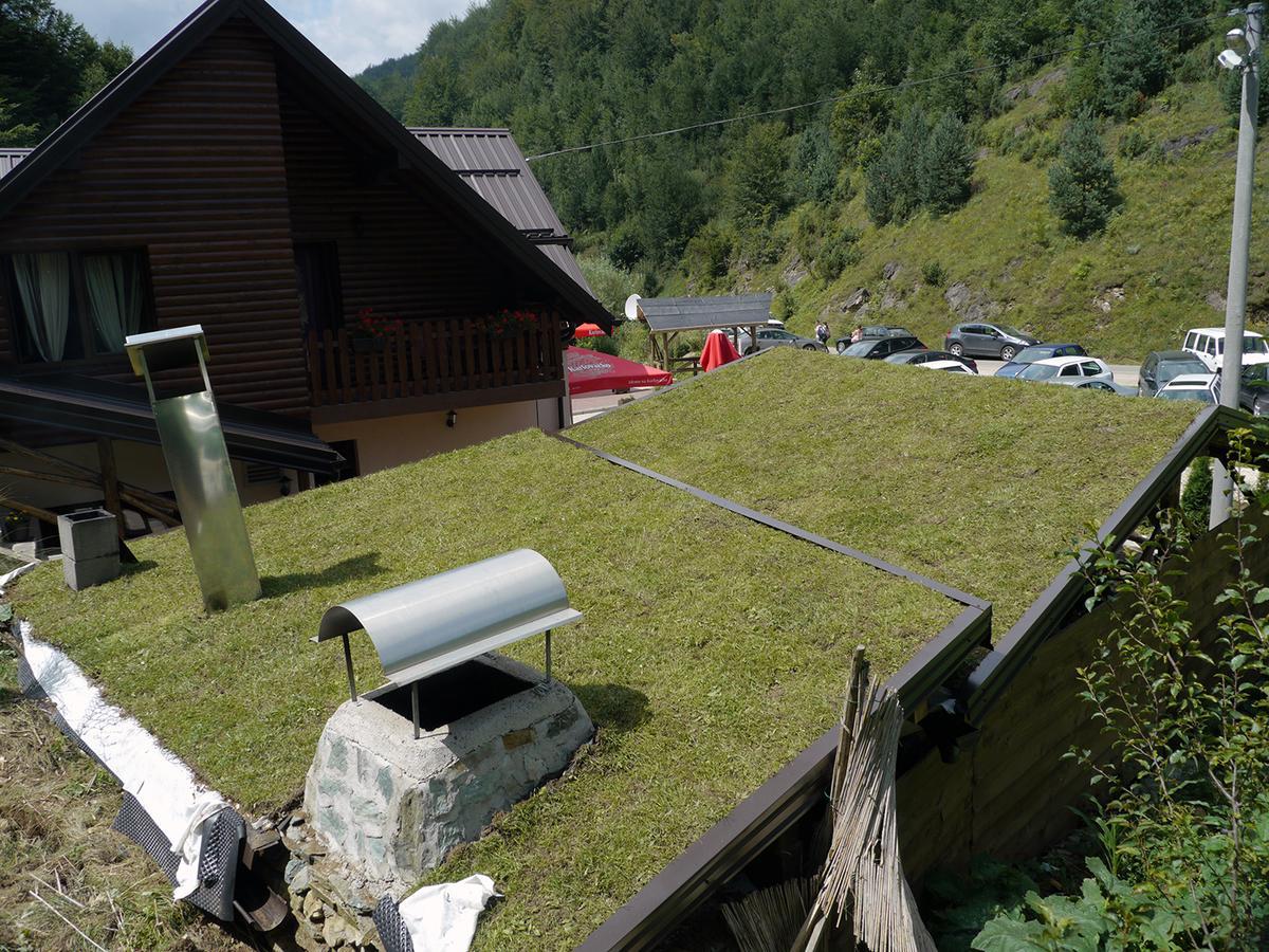 Motel Luka Dezevice Zewnętrze zdjęcie